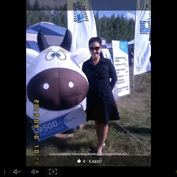 �����, ���������