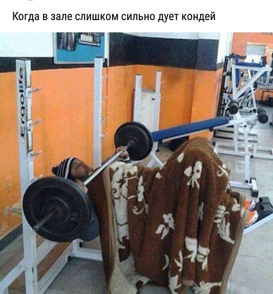 SportFeed - 21  2017  20:36