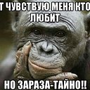 ���� ���������, ������, 55 ��� - ��������� 6 �������� 2017 � ������ ���� ����������