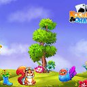 ���� �������, �������, 63 ���� - ��������� 10 ������� 2017 � ������ �������� �������-�������