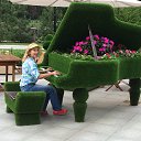 ���� �������, ��������� - ��������� 11 ������� 2017 � ������ ���� ����������