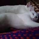 ���� Fatinyia, ����� - ��������� 30 �������� 2017 � ������ ������ �������