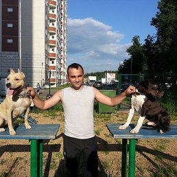 �����, ������, 38 ���