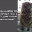 ���� �����, �����-���������, 59 ��� - ��������� 23 ������� 2017 � ������ ������ ��������