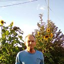 ���� ������, ���������� - ��������� 8 ������� 2017 � ������ ���� ����������