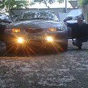 ���� �����, ������, 42 ���� - ��������� 20 ���� 2017 � ������ ���� ����������