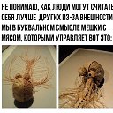 ���� �������, ���������, 43 ���� - ��������� 10 ������� 2017 � ������ ������ ��������