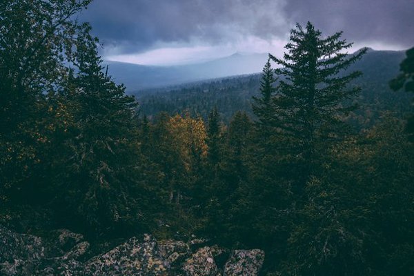 ������ ������ � ������, ��� ������� ����� ������ ����� ����� �������� � ���, ���� ������� ���� ... - 8