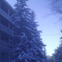 ���� �������, ����, 53 ���� - ��������� 29 ������� 2017 � ������ ���� ����������