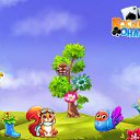 ���� �����, �������� - ��������� 14 �������� 2017 � ������ �������� �������-�������