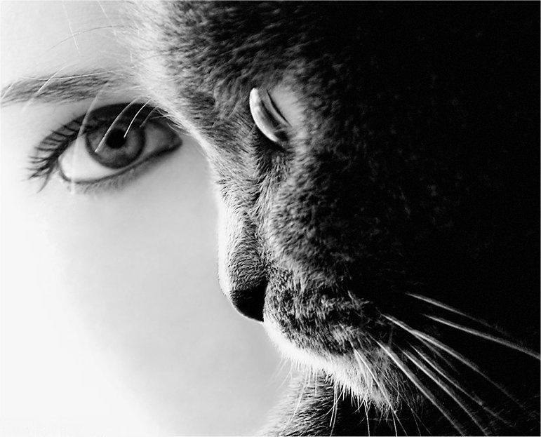 Увяданье сменилось цветением….Стон души – восхитительным пением… Ей бы плакать в подушку и каяться, ...