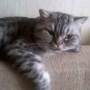 ��� ������ �� ������� ���� ����������