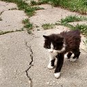 ���� ������, ���������, 64 ���� - ��������� 6 ���� 2017 � ������ ������ ��������