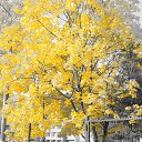 ���� ������, �������-�����, 62 ���� - ��������� 10 ������� 2017 � ������ ������ 08.10.2017 ���� ������ " �������"�