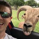 ���� ��������, ������ - ��������� 7 �������� 2017