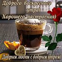 ���� �������, ������� - ��������� 30 ������ 2017 � ������ ������ ��������