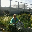 ���� �����, �������, 48 ��� - ��������� 14 �������� 2017 � ������ ���� ����������