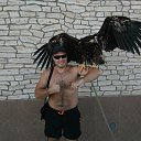  ˸, , 44  -  18  2017    2017