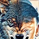 ���� Valera, ������ - ��������� 26 �������� 2017 � ������ ���� ����������