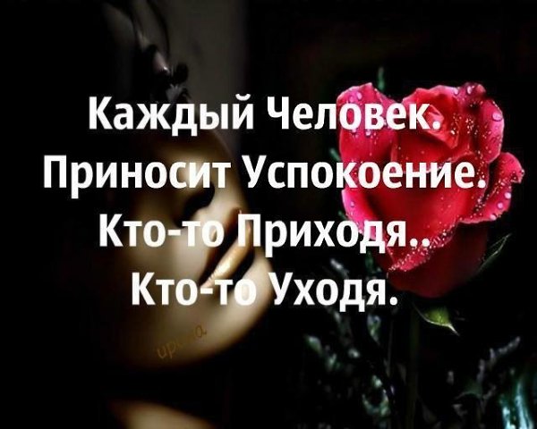      - 8  2017  07:49