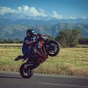 ���� �����, ������ - ��������� 3 �������� 2017 � ������ ���� ����������