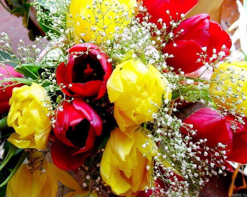 Ты родом из Осени, друг мой далёкий, Из мудрых её и прохладных рассветов... Она пробирается золотом ...