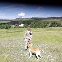 ���� �����, ��������, 54 ���� - ��������� 11 ���� 2017 � ������ ���� ����������