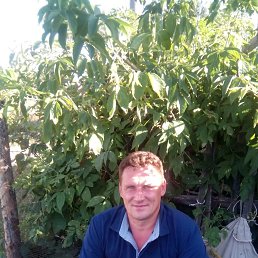 ���� ���������, ���������, 47 ��� - ��������� 3 ������� 2017