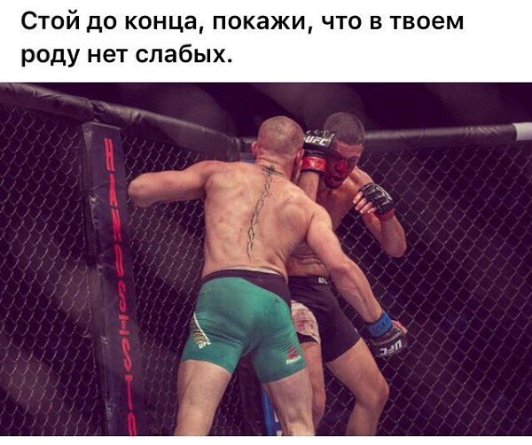 ����� - ��� ����� - 16 ������� 2017 � 20:07