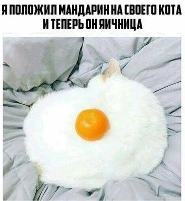   - 10  2017  15:00