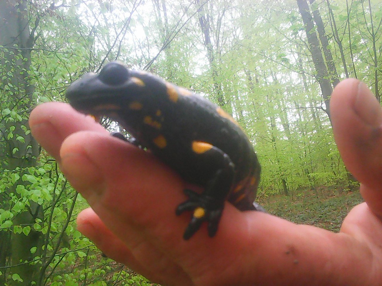   - 16  2017  09:13 - 5