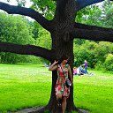 ���� Starecat, �����-���������, 39 ��� - ��������� 7 ������ 2017 � ������ ���� ����������