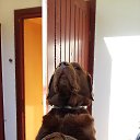 ���� ���������, ���������, 59 ��� - ��������� 28 ���� 2017 � ������ ���� ����������