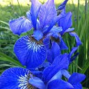 ���� ������, ������ - ��������� 29 ���� 2017 � ������ ����� � ����� � ���� ������