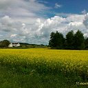 �������� ���� ��� ���������� �� ������� ���� ����������