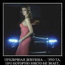 ���� Tigress, �������������� - ��������� 24 �������� 2017 � ������ �������� �����