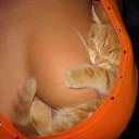 ���� �������, �����-���������, 55 ��� - ��������� 30 ���� 2017 � ������ ���������Ȼ