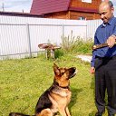  Miha74,  -  12  2017    