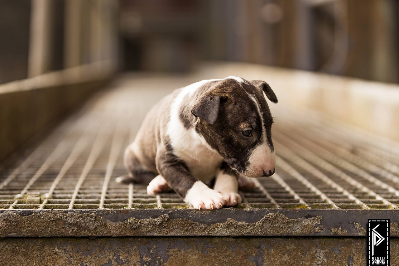 Доброго утра, друзья