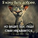 ���� ���, ������ - ��������� 4 ���� 2017 � ������ ������ ��������