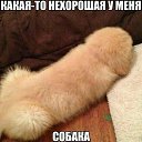 ���� �����, �����, 45 ��� - ��������� 28 ������� 2017
