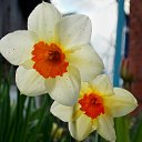 ������ 2017 �� ������� ���� ����������� (!) ��������)�