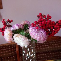 ���� ���, ������ �������� - ��������� 9 ������ 2017