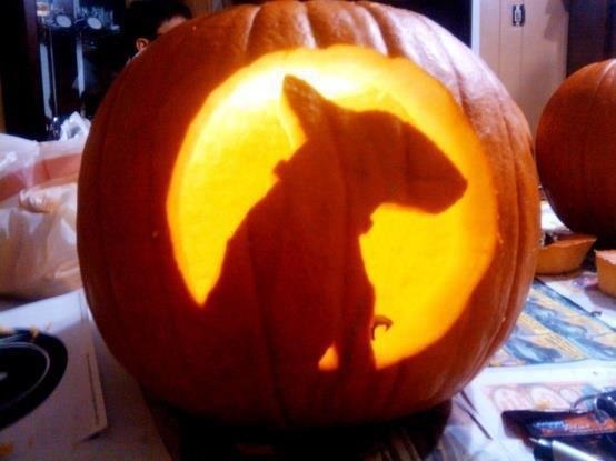 В преддверии экзотического и неоднозначного праздника Хеллоуин, готовимся к Конкурсу с бультерьерами ...