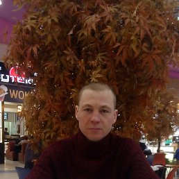 ����, ������, 43 ����