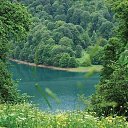 ���� Famil, ������, 45 ��� - ��������� 2 ���� 2017 � ������ ���� ����������