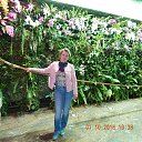 ���� �����, ����� ������, 58 ��� - ��������� 29 ������ 2017 � ������ ���� ����������