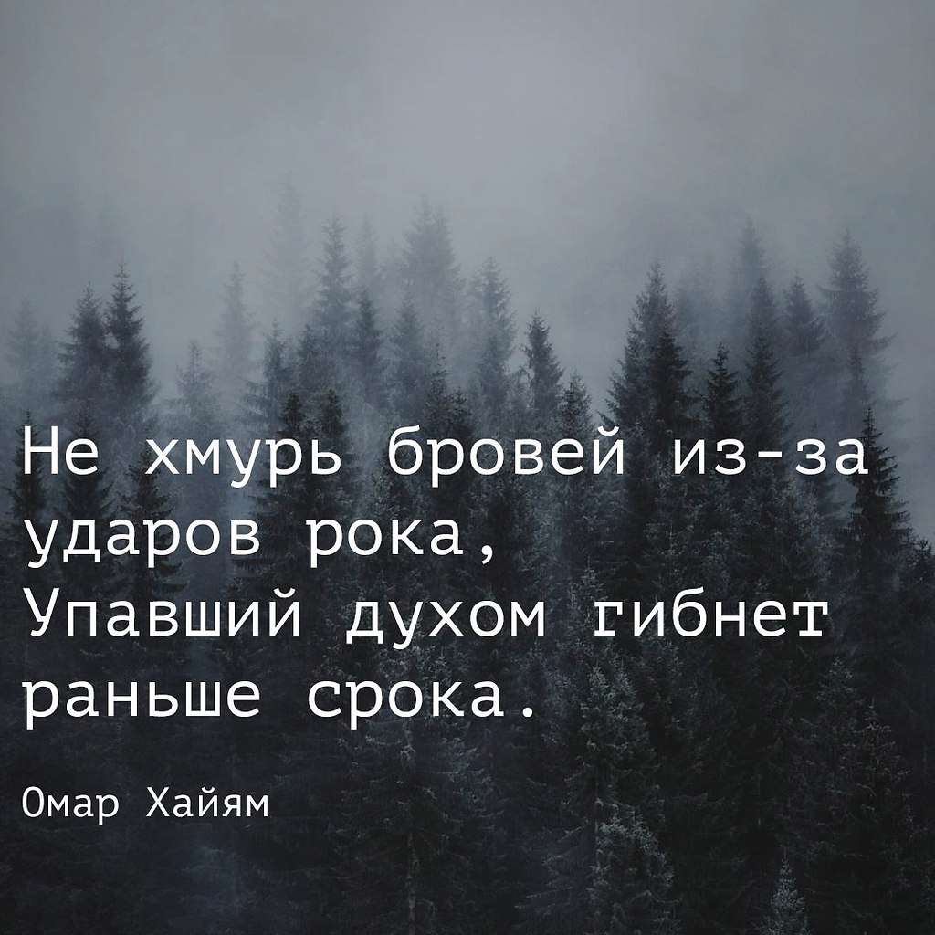     - 12  2017  17:38