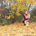 ���� �������, ��������, 42 ���� - ��������� 28 �������� 2017 � ������ ���� ����������