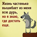 ���� ������, �������� - ��������� 3 ��� 2017 � ������ ������ ��������